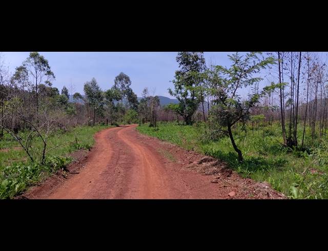 1,845HA FARM FOR SALE IN NGODWANA